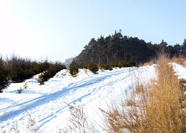 鞍山林地面積測量鑒定